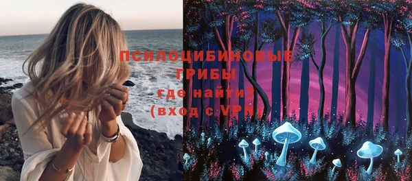 твердый Алзамай